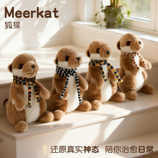 �羳�¿���B����ë�q��߷�����B��������żץ�C���ޒ����YƷ