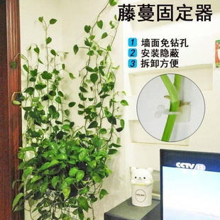 ���h������ճճ�h����ճ���G�}�̶���늾������o�������Nޱ��