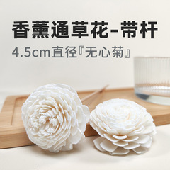 4.5cm直径無心菊アロマフラワーバー通草花無火アロマ籐拡香アロマドライフラワーアクセサリー
