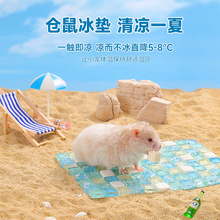仓鼠非洲迷你刺猬松鼠冰垫凉席降温板冰床散热垫隔热夏季宠物降温