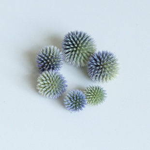 ������{����ɻ����^ ��Ȼ�滨 DIY�ֹ����� ���hֲ��˱����