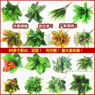 ����ֲ��Gֲ���ٻ����҃����ⱳ�����b��G�}�����řڻ�