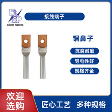 厂家批发DTL-1孔铜连接器线路连接用接线端子铜铝鼻子单孔