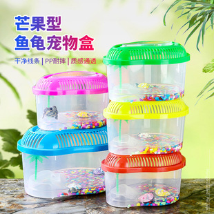 Transparent plastic small size fish tank fish tank turtle jar pet box turtle box mango box with climbing table