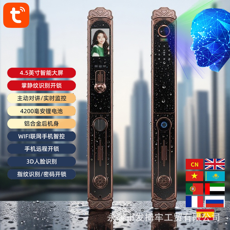 庭院户外防水智能锁人脸识别指纹锁双开门断桥铝涂鸦多国语言跨境