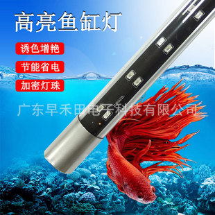 �羳���Qˮ�嶨��LED�~�ן��������G���~����ɫ�^�p�~���p�ş���