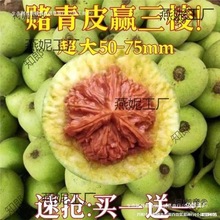 ���Ǫ{���^����y���ñ��Ƥ�������ـ��Ƥ���ܳ���������
