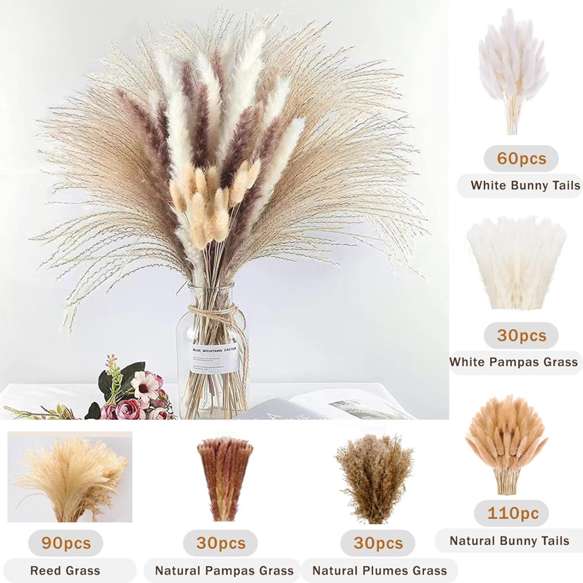 Ramo de caña de flores secas de Amazon, batidor de hierba de cola de conejo, ramo de flores secas de Yunnan, decoración de muebles al por mayor