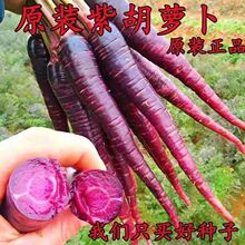 �Ϻ��}���N���ļ��߮a���}���r����ˮ���}���N��ͥԺ�߲˷N��