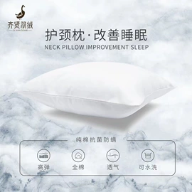 羽毛、羽绒;羽绒被;羽绒枕