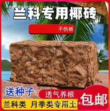 兰花营养土小椰壳砖粗椰糠蝴蝶兰石斛植料粗椰块压缩脱盐椰砖