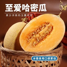 山东黄金哈密瓜新疆至爱哈密瓜新鲜水果吐鲁番火焰蜜瓜黄皮蜜瓜