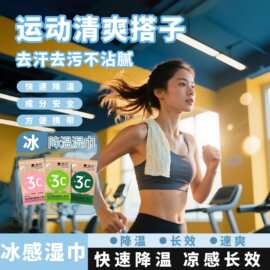 夏季酷暑清凉湿巾冷感提神降温薄荷冰凉湿纸巾冰感便携装