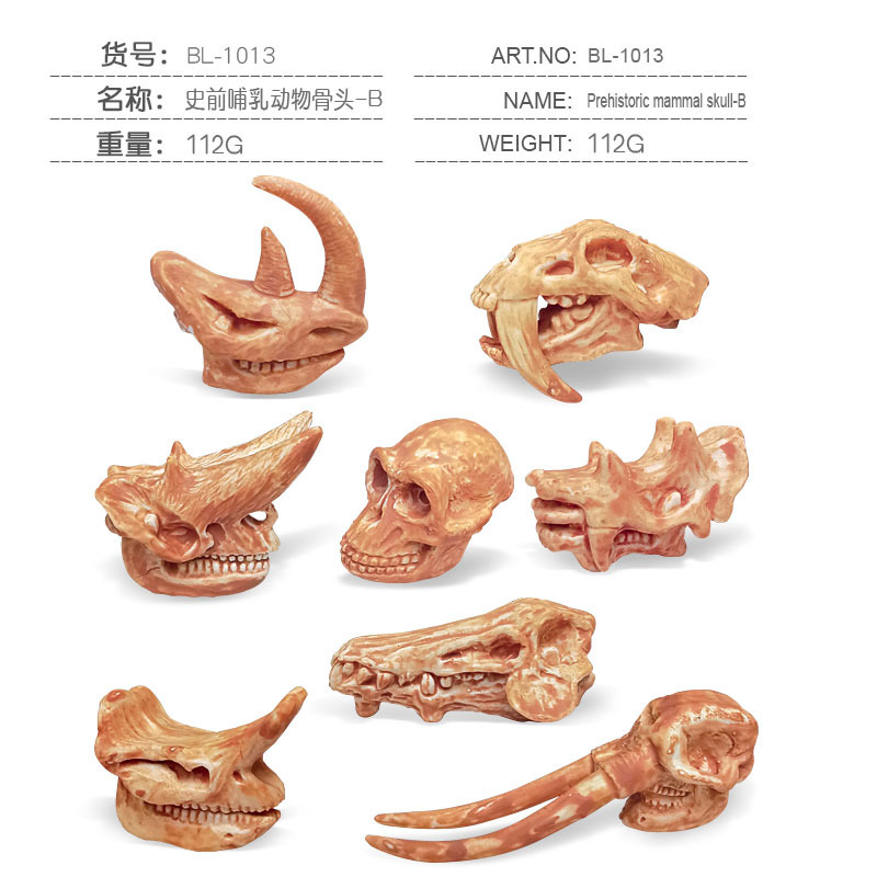 Transfronterizos de venta caliente simulación sólida modelo de cráneo de dinosaurio estático T. rex Velociraptor esqueleto arqueológico juguetes para niños