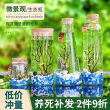 观赏鱼生态瓶微景观免换水diy水族箱办公桌面创意造景斗鱼玻璃缸