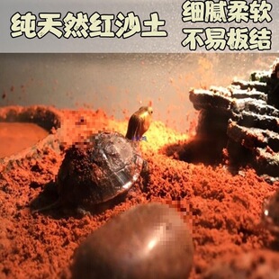 ����|�ļt��ɳ������ɳ�����È@���߲˼t���o�����S���t��ֲ��