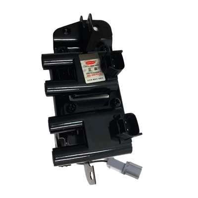 Alovlanma bobini (Babinalar) Assembly Car Parts Ignition