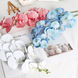 ���滨�ٻ��ە��߼��оӼ��Ô[����Ydiy�b���9�^�zƬ�����m