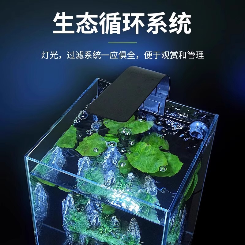 水槽 小型リビングルーム 2025年新型フィルター酸素発生器一体型ガラス水槽 超白色角型水槽 金魚水槽 水替え不要|undefined