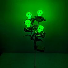 ���R�d����LED̫���4�^õ�����B�u�[�����⹝�շՇ����@ͥԺ��