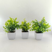 ���R�d�羳���u����ֲ���ȼ���С���Ԕ[���҃���Gֲ�b���������