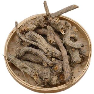 ����� ���  �o�������݌�܊�ݾ��^�{��ܾ��������]��