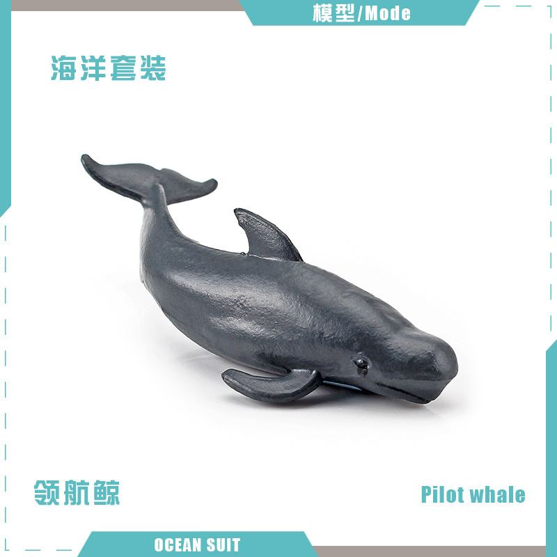 Ballena piloto BL-5155 7g