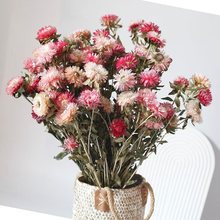 粉色菠萝菊七彩菊干花花束麦秆菊太阳花天然真花干花云南工厂批发