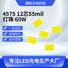 12芯4575ランプビーズ高出力セラミックLED LED反転実装光源60W車用ヘッドライト卸売セラミックパッケージ