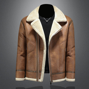 �U��2025�궬���¿�Ƥëһ�w�ӽq�Ӻ�A������D209A-PT581-P245