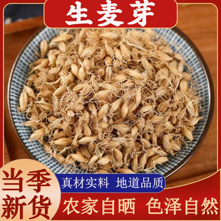 ��������ѿ��ș���r����؛����ѿM�w������ѿ������ѿ��ˮ�ݲ�