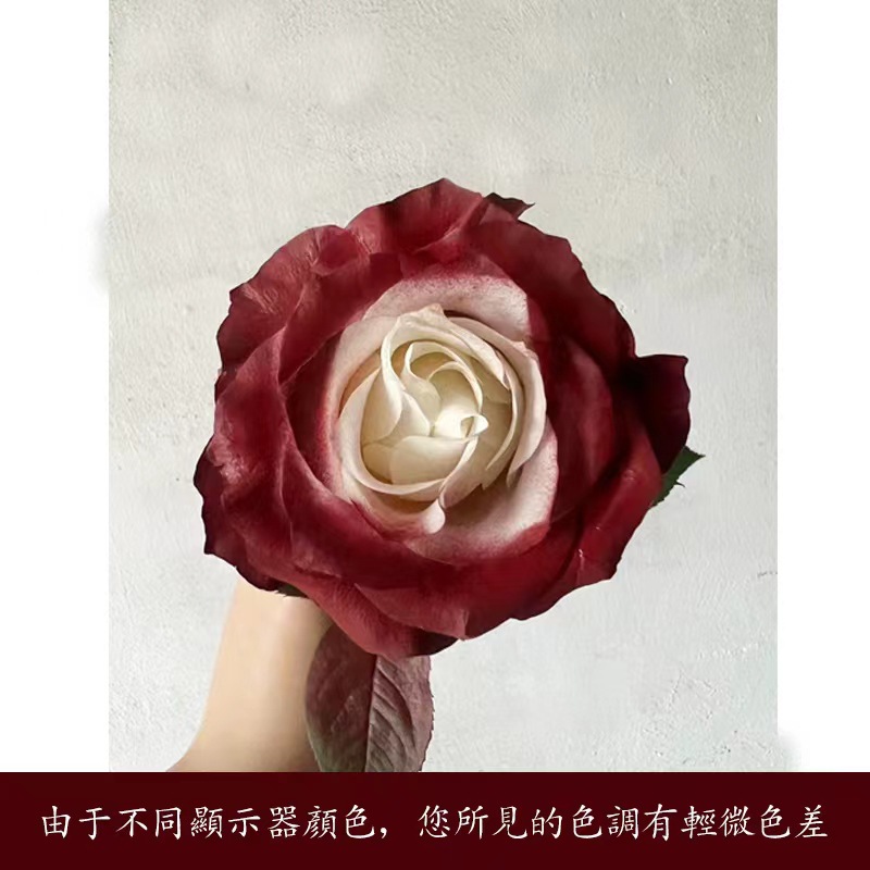 Internet celebridad ciruela negro rosa púrpura flores autopintadas agente de pulverización de color tinte floral spray colorante