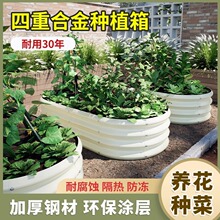 ���ٷNֲ�����X�Ͻ����ӷN�ˌ��òˈ@�̨ͥԺ��픑������