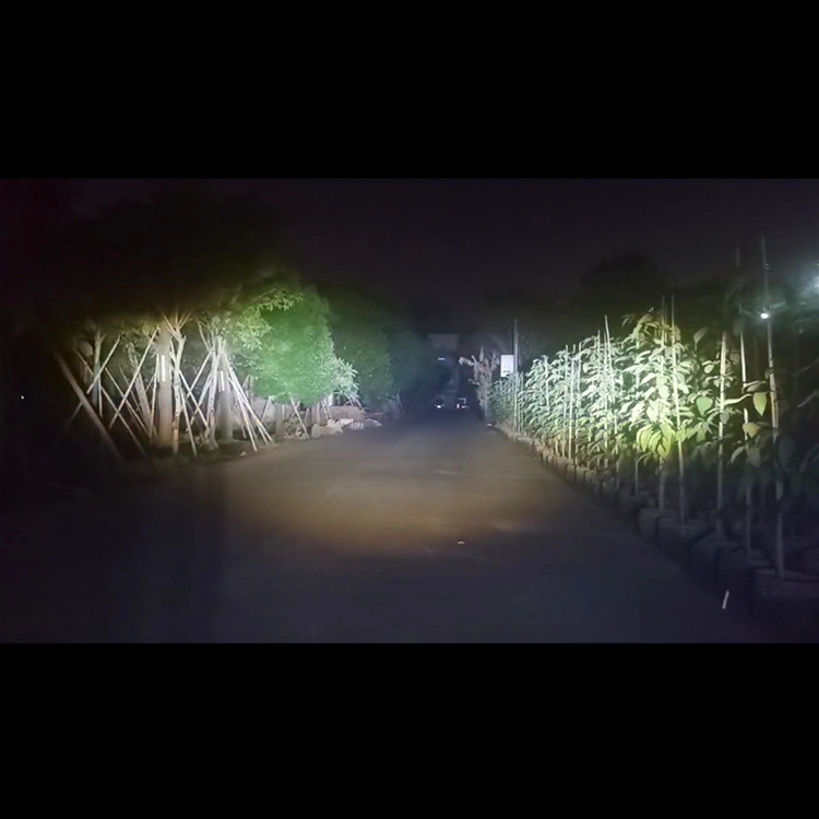 微信图片_20221208142337_副本