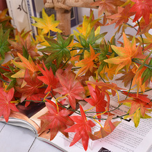 ������~�ٗl������ھGֲ�ܵ�����b��Ì��I���^������~��