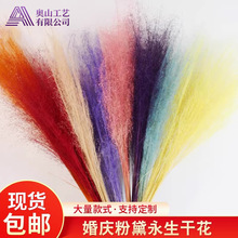 ����y�Ӳ��������Ļ�c��Y���������̈����ܛ�b�W�t�Ĕz����