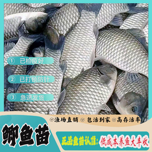 �п��a�~����~�絭ˮ�~�����l�����п�5̖�a�~���ش󹤳��a�~��