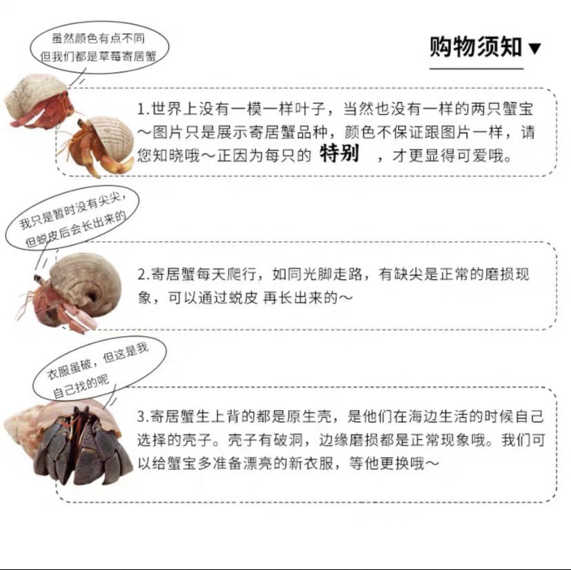 b096eee3-9605-4f90-998e-34de2c70d99b.jpe