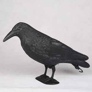 �f�}���b������Ϟ��f�羳���lͥԺ�@����B����[�����R�d����