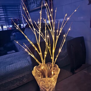 �羳led�~�z��֦�� �҃��bט�����Ϳ͏d����DIY���⻨ƿ��