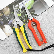 不锈钢果园摘果剪果农专业采摘水果剪刀尖头葡萄稀果修果枝树枝剪