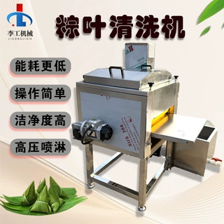 双层毛刷洗叶机  双面清洗更洁净 荷叶 粽叶 连续式清洗机304材质
