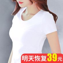 ��ɫt��Ů����o��2021��t���ļ���������ȴ���������