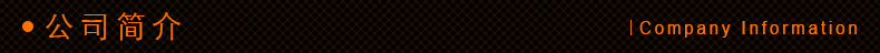 公司简介