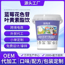 蓝莓花色苷叶黄素酯儿童饮定制玉米黄质乳酸锌维生素果蔬植物饮料
