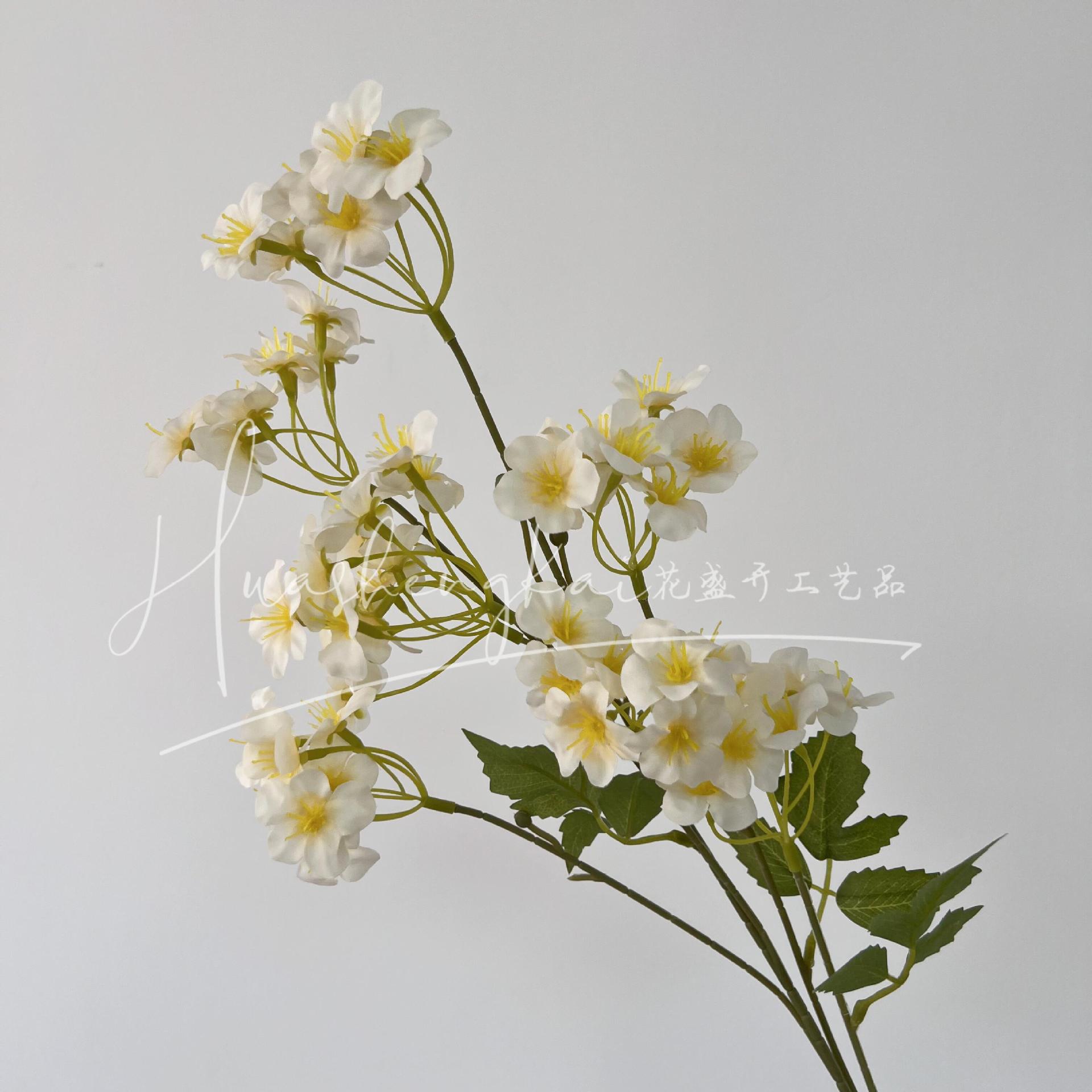 작은 꽃