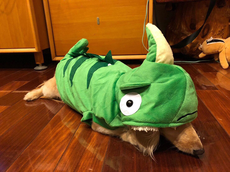 AE3B7C38310A5AC9CE3FC87B356359