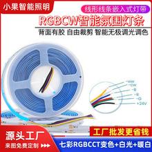 RGBCCT�ƴ�RGBCW�޼������ɫ��ѹ24VCOB����rgb��Χ�Ƶ羺��װ��