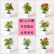 ���S�羳 ����Gֲ ���l����ֲ�� �[���辰 ˮ������