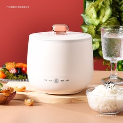 110V アメリカ標準炊飯器小型家庭寮一人用お粥スープポットセラミック釉薬炊飯器 1-2 人用
